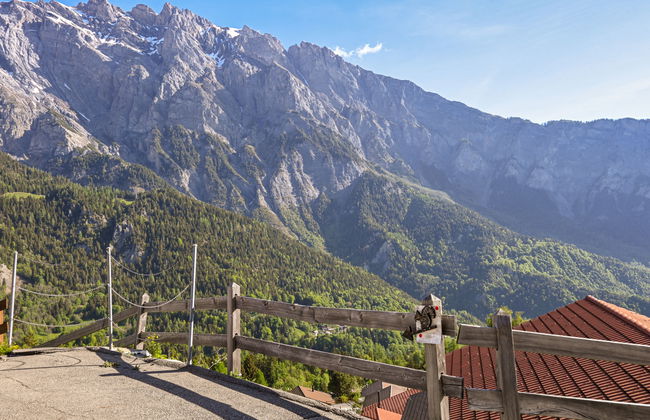 Ecureuil noir - Foto 11