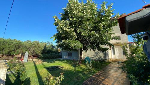 Filemial House - Foto 5, Garden