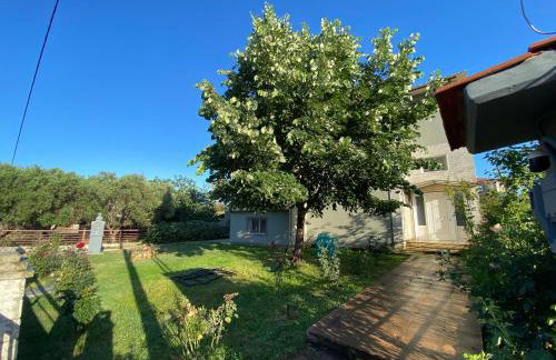 Filemial House - Foto 5