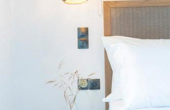 SEASCAPE VILLAS VASSILIKI - Beachfront villas - Foto 30