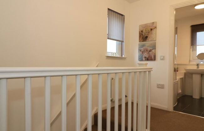 Angus House - Glasgow - Photo 31