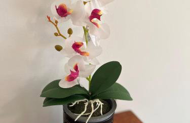 Beautiful place - Walk to city center and markets. - Foto 4