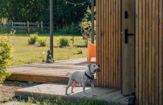 Zen Sasino - Foto 62