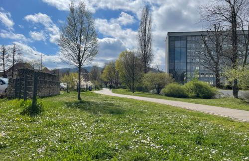 FESTWIESE - modernes Apartment nahe Neustadter Innenstadt - Foto 21