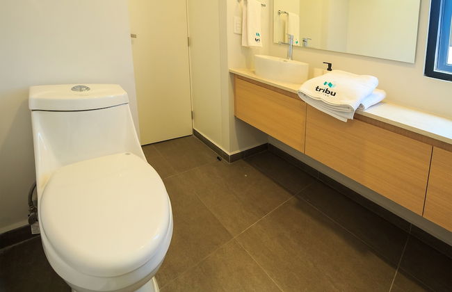 Tribu Coordenada Lafayette - Foto 19