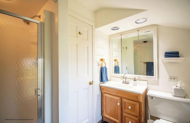 Puffin Rock - New 2022! - Photo 17