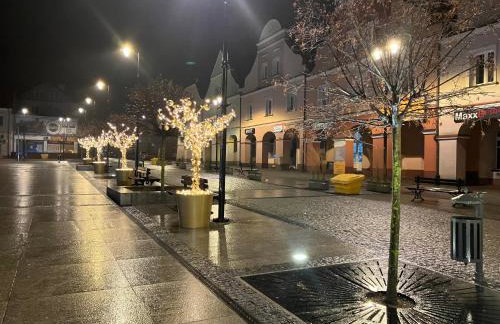 Apartamenty Stary Rynek 18 - Foto 21