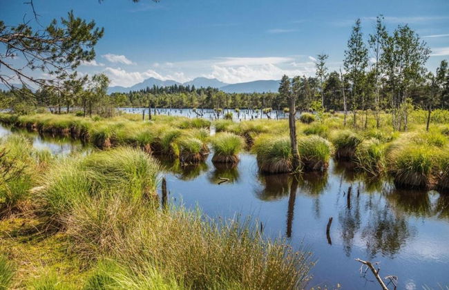 Eco-friendly Chalet Near the Lake in Asten - Photo 62