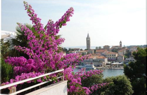 Apartmani Ivić Paka Rab - Photo 20