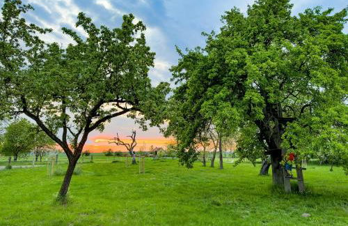 Vacation Apartment With Garden Terrace And Sauna - Foto 12