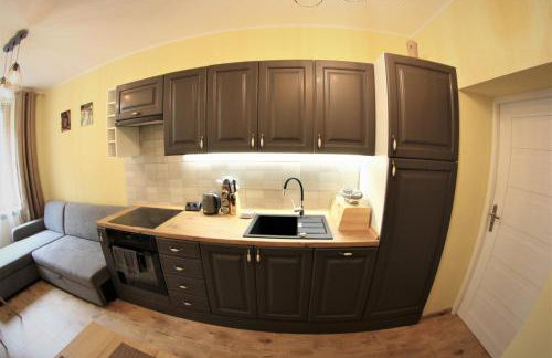 Apartamenty Zielone Centrum - Foto 25