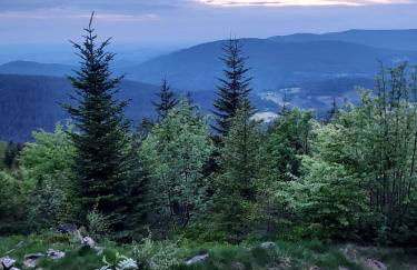 Ferienhaus Ritzmais - Foto 40