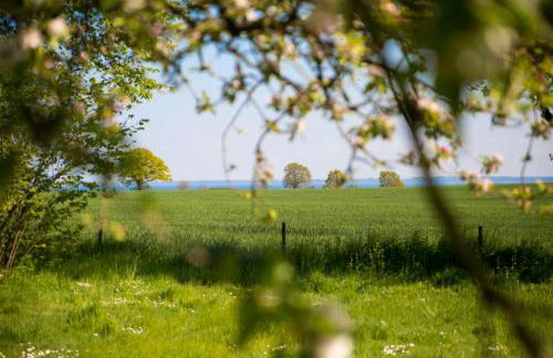 Bellevue mitte - Foto 11