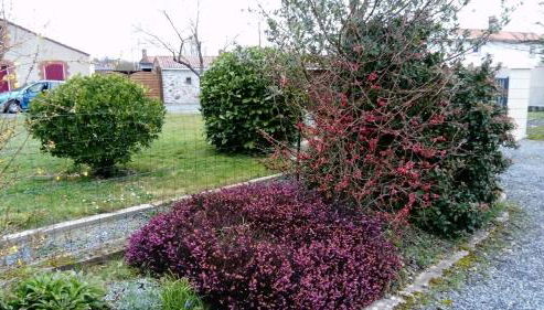 La Ferme du moulin - Foto 4