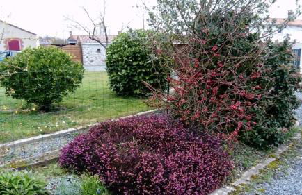 La Ferme du moulin - Foto 4