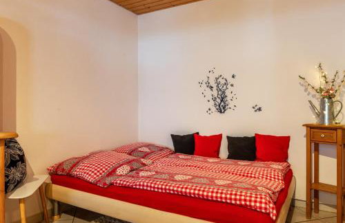 Schwarzwald Nescht Triberg - Foto 19