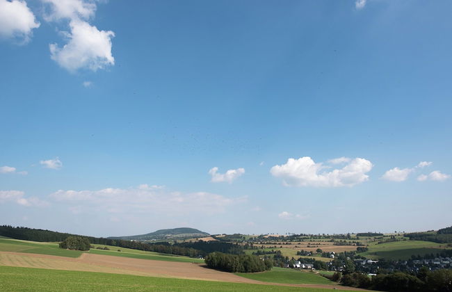 Apartment in Saxony With Terrace - Foto 24