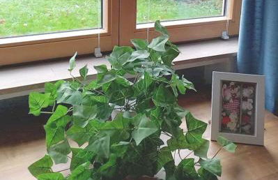 Ferienwohnung Melba - Foto 21