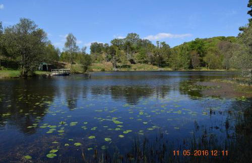 Inverawe Cottages - Foto 10