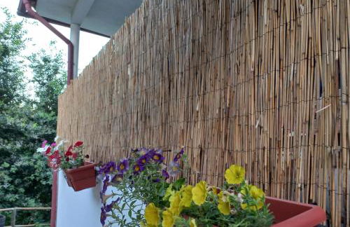 Casa de Suelas - Foto 17