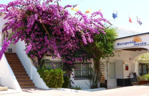 Siesta Mar Apartamentos Ibiza - Foto 14