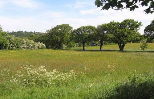 Willow Cottage - Foto 13