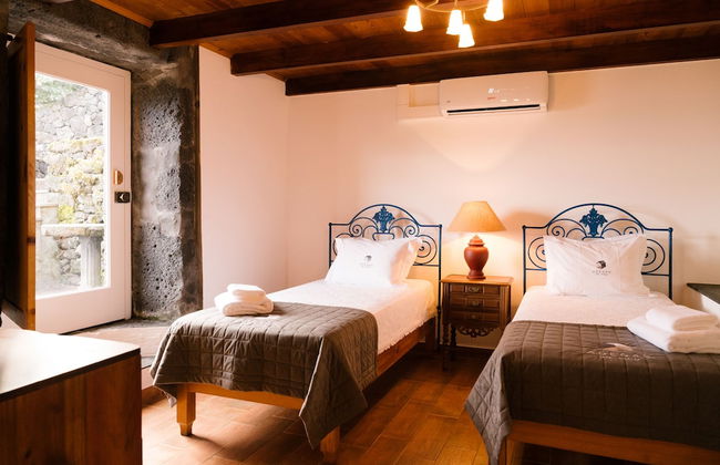 Adegas do Pico - Foto 10