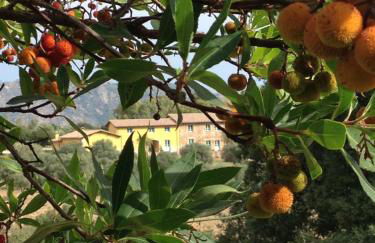 Agriturismo Is Conchisceddas - Foto 43