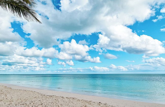 NEW Stunning Beachfront Condo at the Coral Beach - Foto 54