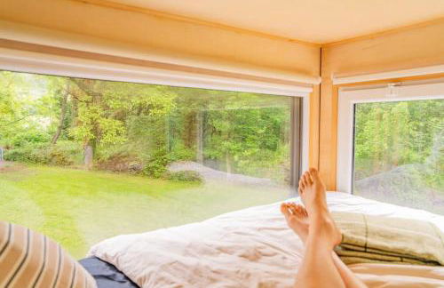 Bois aux Cheirilles - 15min Murol - Puy de Dome - Foto 9