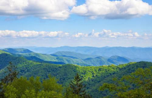 Chasing Views Tiny House - Photo 8