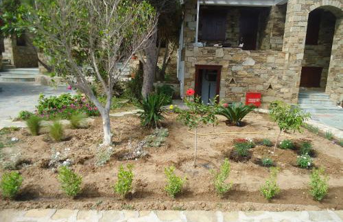 Kois Studios - Foto 61