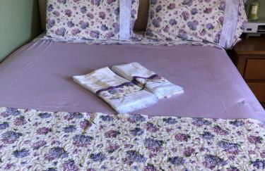 Hortênsiailedefrance - Foto 36