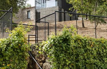 Quinta de São Pedro - Foto 6