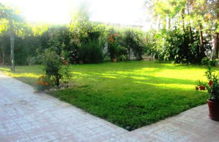 CasaBlueLive - Foto 13