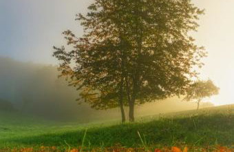 Ferienwohnung Schlossblick Schillingsfürst - Foto 12