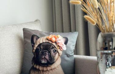 APARTAMENTY SZYNDZIELNIA - 2 Sypialnie & BALKON & PARKING IDEALNE MEJSCE W BASKIDACH dla RODZINY - Foto 38