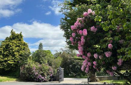 Annsborough House Castlewellan - Foto 34