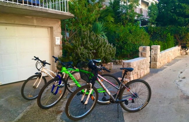 Helena - Beachfront - H - Photo 33