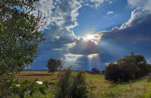 Auszeit auf dem Drachenhof, das Hyggehaus - Foto 41