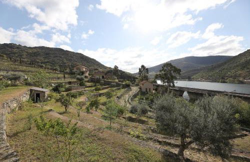 Quinta da Ferradosa Wines - Foto 41