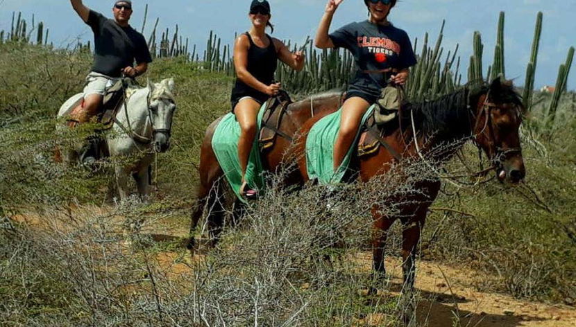 Promenade à cheval aux Antilles