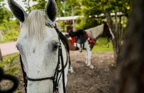 Eco Resort Pedra Bonita - Foto 71