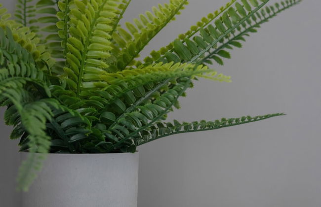 Bażantów Studio Katowice by Renters - Photo 43