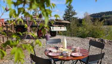 Der perfekte Ausgangspunkt - Foto 5