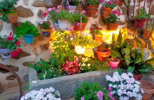 Apartametos rurales la Higuera de José - Foto 14