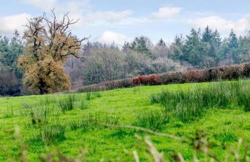 6 Bed in Petrockstow oc-79407 - Foto 35