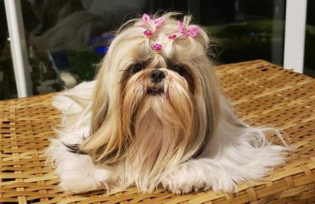 Ed Casablanca proximo a Av T63 shopping e parque - Photo 30