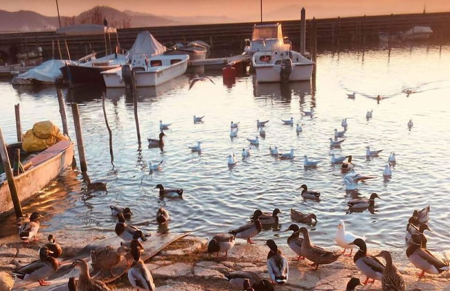 Borgo Cenaioli - Photo 51