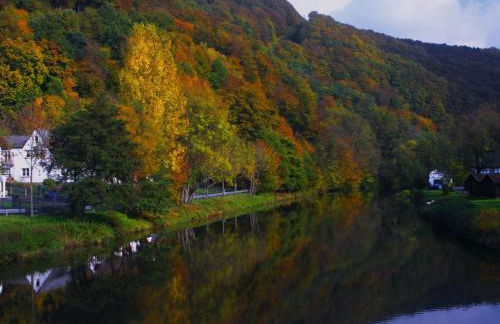 Apartment Chalet Wiedfluh in Waldbreitbach by Interhome - Foto 32